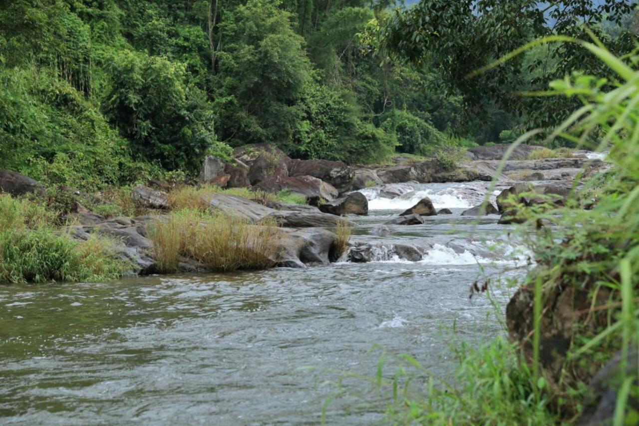 Ayursakthi Riverdale Munnar Esterno foto