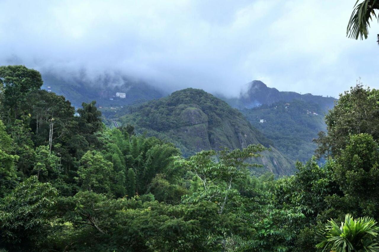Ayursakthi Riverdale Munnar Esterno foto