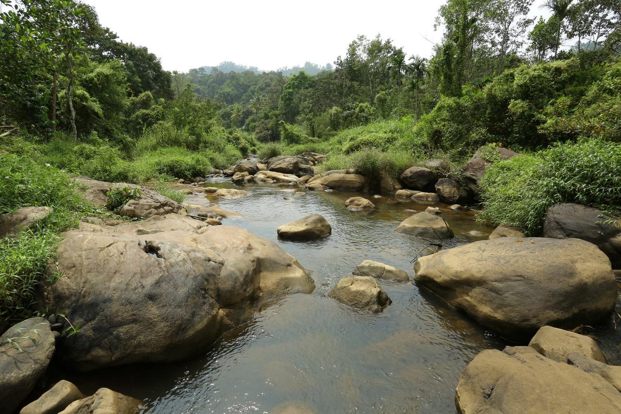 Ayursakthi Riverdale Munnar Esterno foto