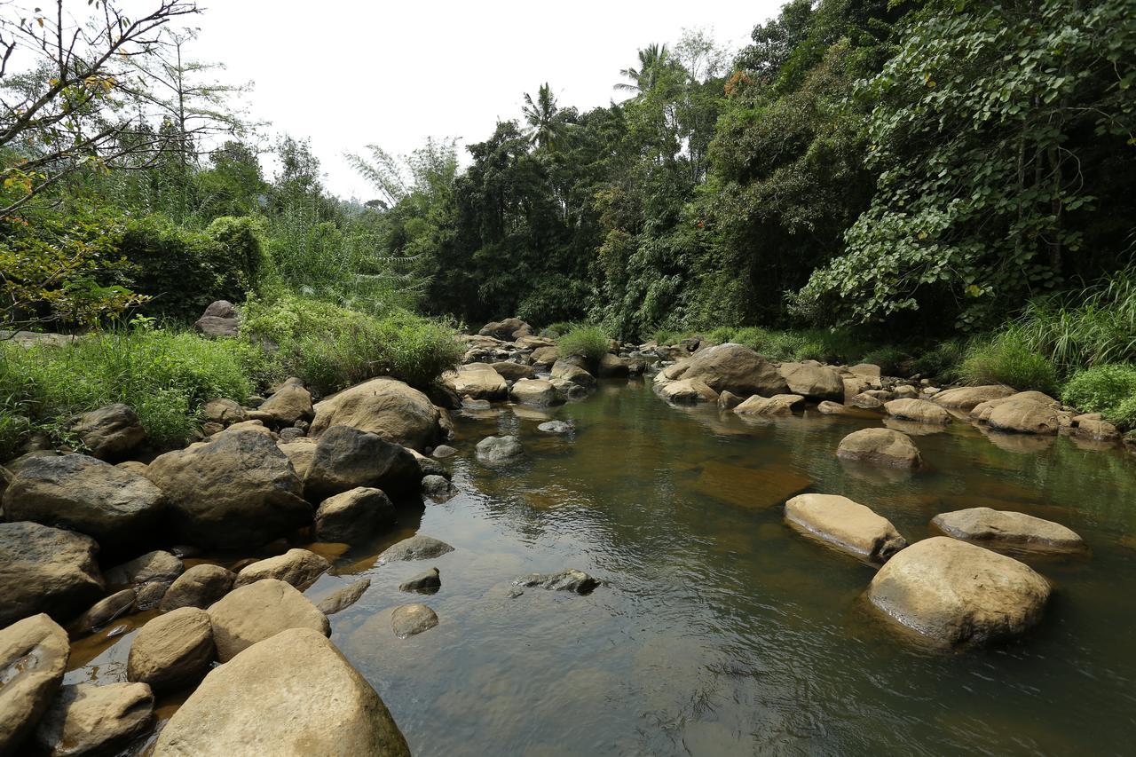 Ayursakthi Riverdale Munnar Esterno foto