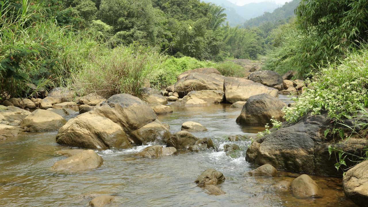 Ayursakthi Riverdale Munnar Esterno foto