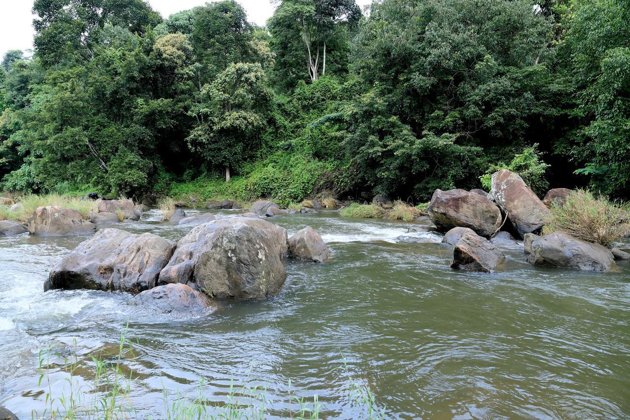 Ayursakthi Riverdale Munnar Esterno foto