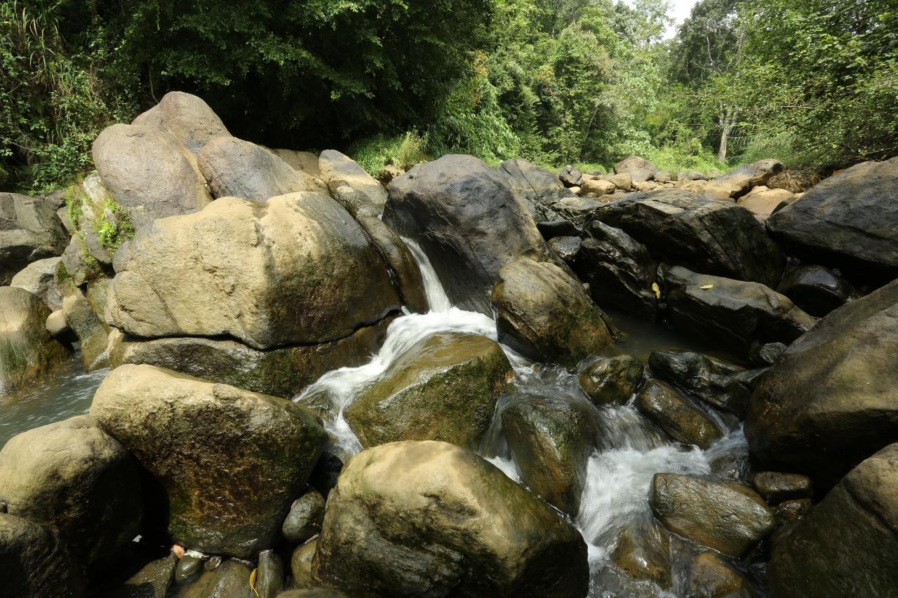 Ayursakthi Riverdale Munnar Esterno foto